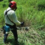EM3400U  PETROL BRUSHCUTTER(34.0ML/2ST)