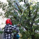 EY2650H25H  TELESCOPIC PETROL POLE SAW(24.5ML/4ST)