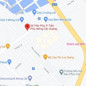 CÔNG TY TNHH XNK NGÂN SƠN CƠ SỞ I (CỬA HÀNG ĐIỆN MÁY TRƯỜNG SƠN).
