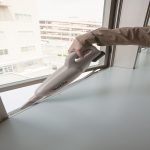 CL106FDZW CORDLESS CLEANER (12VMAX)