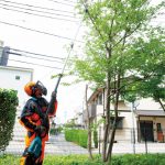 DUA301ZB CORDLESS POLE SAW(300MM/TELESCOPIC PIPE 2,530-3,762MM/BL)(18Vx2)