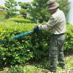 DUH752Z MÁY TỈA HÀNG RÀO DÙNG PIN(750MM/BL)(18V)