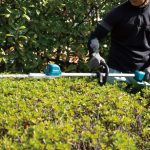 DUN600LZ CORDLESS POLE HEDGE TRIMMER(600MM/BL)(18V)