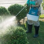 DUS054Z CORDLESS GARDEN SPRAYER(5L)(18V)