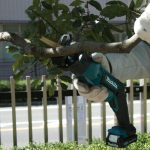 JR105DSYE MÁY CƯA KIẾM DÙNG PIN(12V MAX)