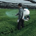 EVH2000  SPRAYER(24.5ML/4ST)