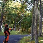 UA004GZ01 CORDLESS POLE SAW(300MM/TELESCOPIC PIPE/BL)(40V)