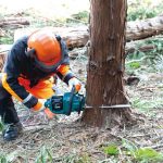 UC022GZ MÁY CƯA XÍCH DÙNG PIN (350MM/80TXL/BL) (40V MAX)